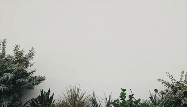 短视频拍摄的性能与适用条件说明